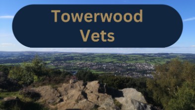 Towerwood Vets